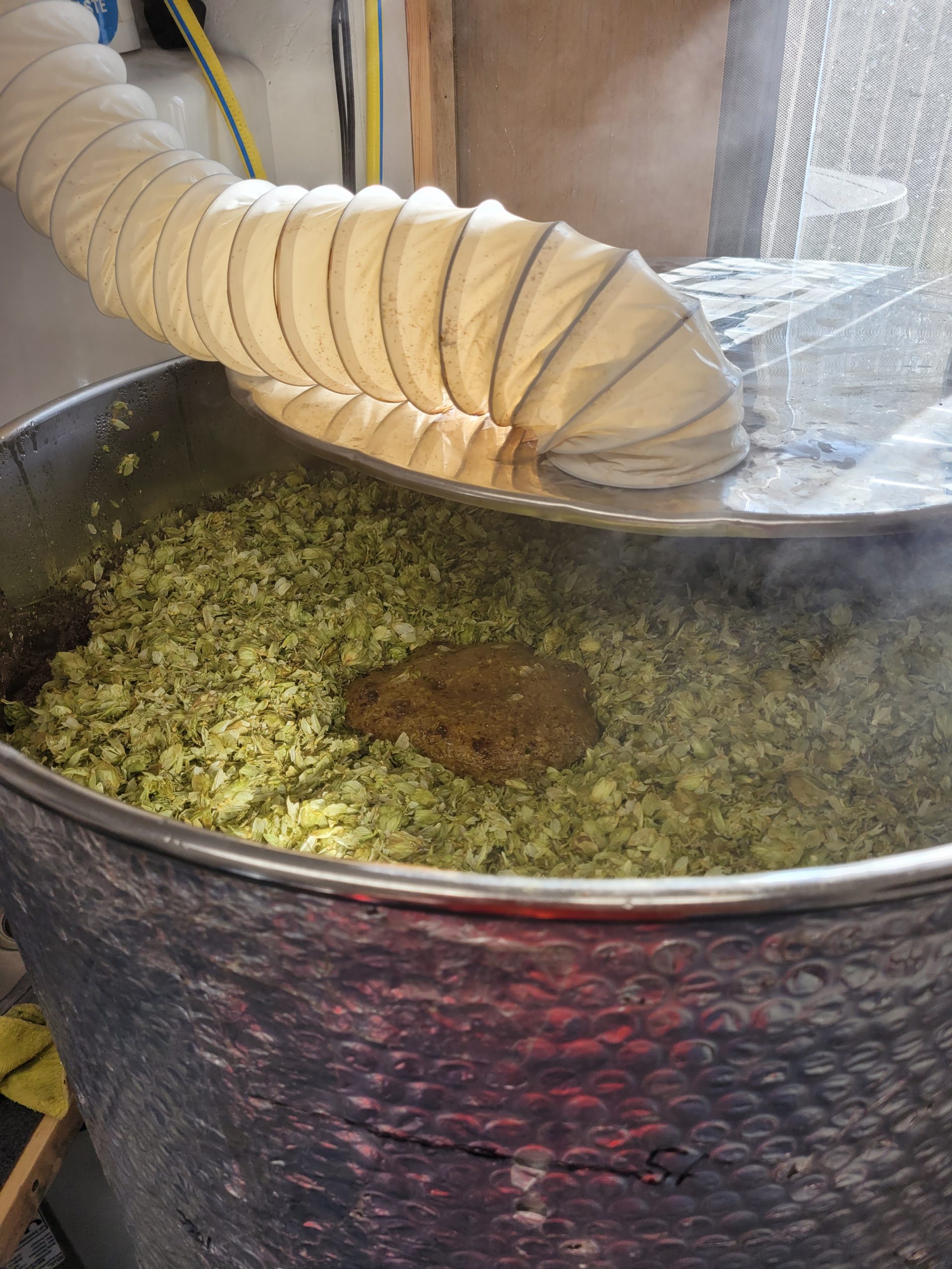 Hops
